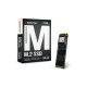 Biostar M.2 Nvme M700 Series 256GB SSD