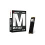 Biostar M.2 Nvme M700 Series 512GB SSD