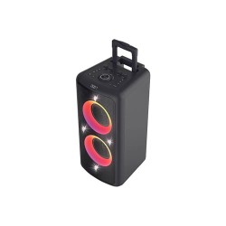 F&D PA300 100W BLUETOOTH PARTY SPEAKER