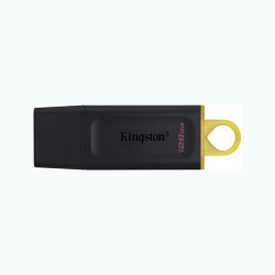 KINGSTON DTX 128GB MOBILE DISK DRIVE