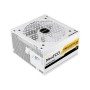 Antec NE1000G M White 1000W ATX 3.0 & PCIE 5.0 80+ Gold Full Modular Power Supply