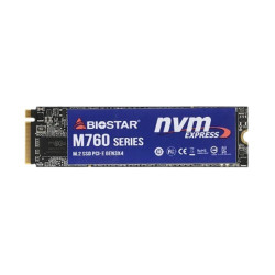 Biostar M760 256GB Gen3x4 M.2 NVMe SSD