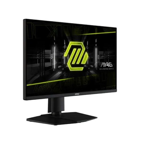MSI MAG 255PXF 24.5 inch 300Hz IPS FHD Gaming Monitor