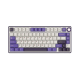 ROYAL KLUDGE RK R75 Hot-Swappable RGB Mechanical Keyboard Wired, Blackberry