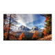 Uniview MW-3265-F IPS 65-inch DLED UHD 4K Monitor