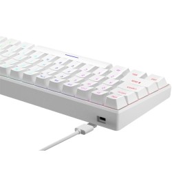 Zifriend H61K 60% Wired Mechanical Keyboard