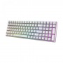 Royal Kludge RK 100 Tri Mode RGB Hot Swap Gaming Keyboard