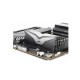 OCPC PISTA RGB 16GB DDR5 6000MHz Desktop RAM